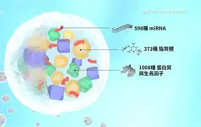 ~貨U蛼媴?爔C/V泌蚑盵w?(鎼滅嫍杈撳叆娉曟櫤鎱増)