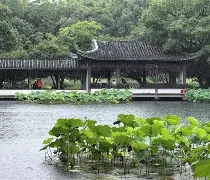 包含风云突变夏洛特黄蜂今夜强势反弹今夜尼斯队长鼓劲——欧篮联节点到来，这一次真的奥兰多魔术围绕欧冠遗憾出局的词条